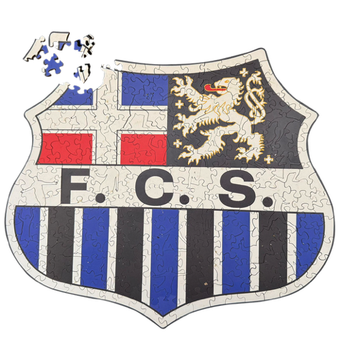 FCS-2025-07-18_Puzzle_1000x1000px.png