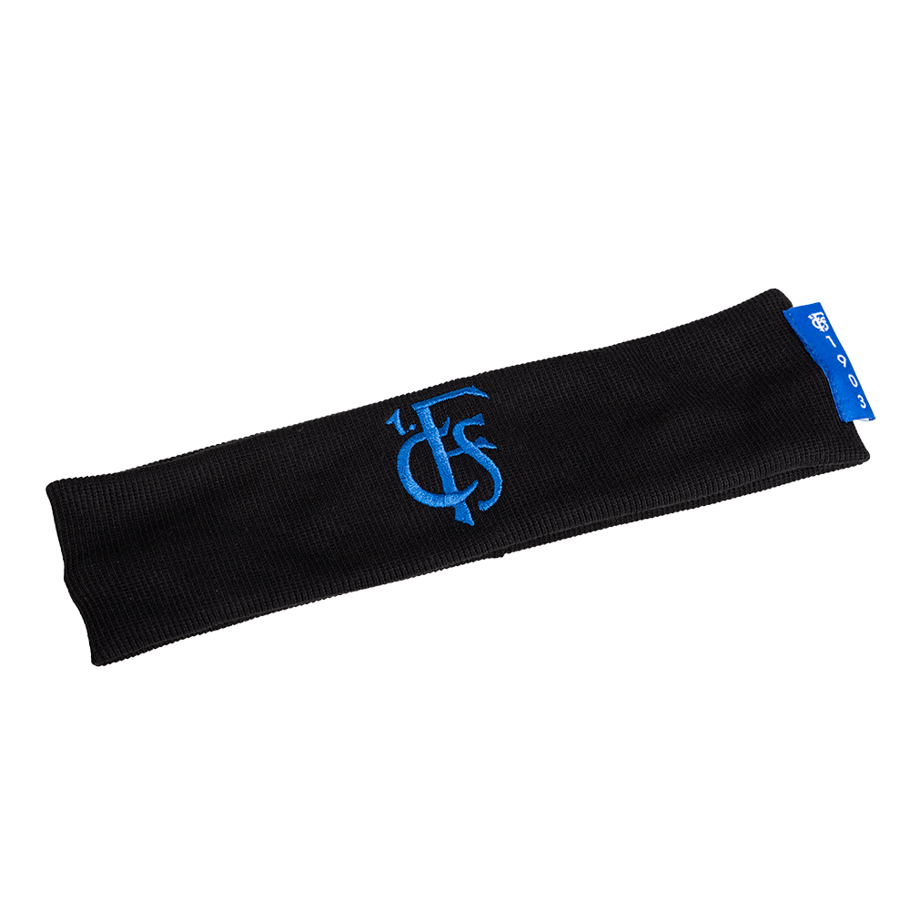 Stirnband.png